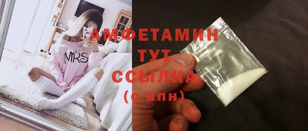 гидра Дегтярск