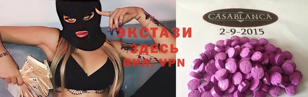 гидра Дегтярск