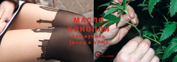 гидра Дегтярск