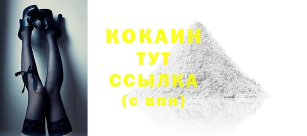 гидра Данков