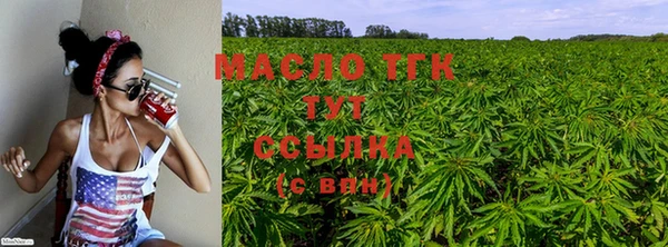 гидра Данков