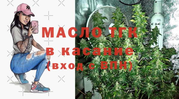 гидра Дегтярск