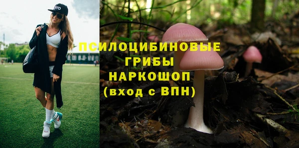 гидра Дегтярск