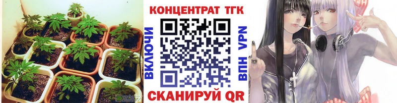 кракен как зайти  Камешково  Дистиллят ТГК жижа 